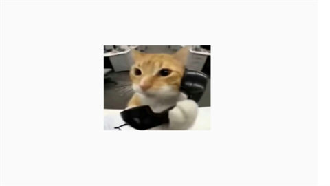 橘猫三角洲自动跑刀最新版