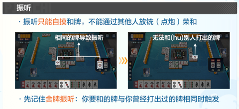 雀愿官方正版