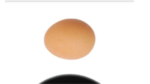 Fried Egg游戏