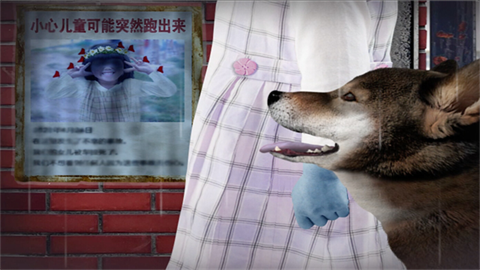 翌日波奇狗的历险记官方版
