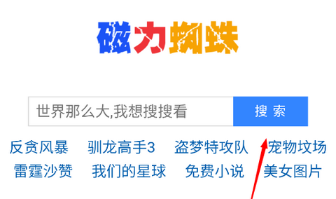 蜘蛛bt磁力无限制版