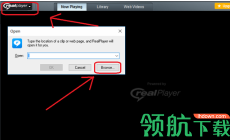 realplayer中文官方版