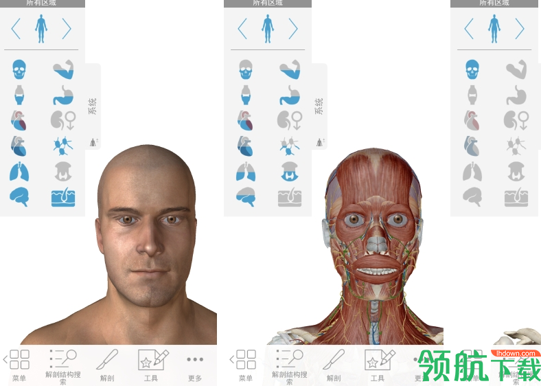 VisibleBody人体解剖软件破解版