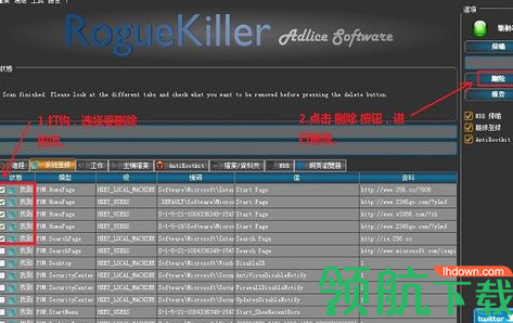 RogueKiller流氓软件清除工具绿色中文版