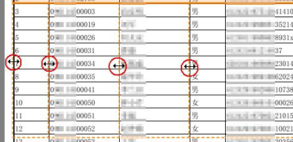 cogniviewpdf2xl中文破解版