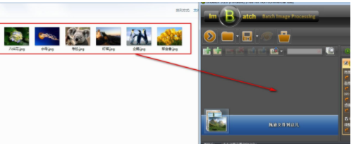 ImgBat(图片批量处理软件)官方版