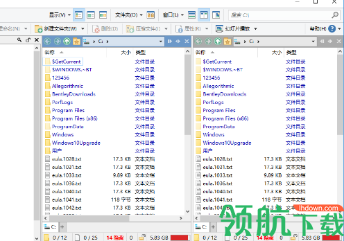 Directory Opus Pro(文件管理器)中文版