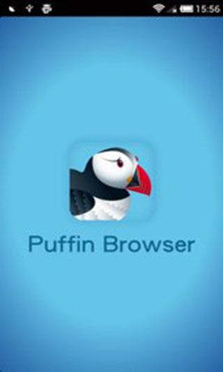 puffin浏览器最新版本