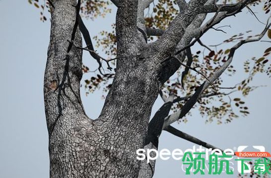 SpeedTree Games破解版