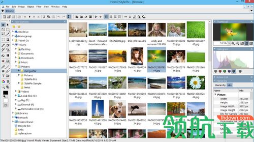 Hornil StylePix Pro破解版