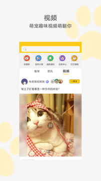 我爱它它app