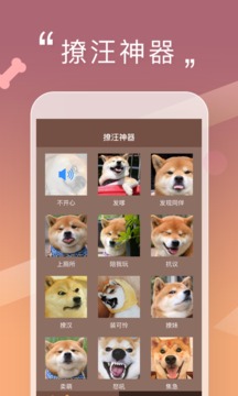 人狗交流器app