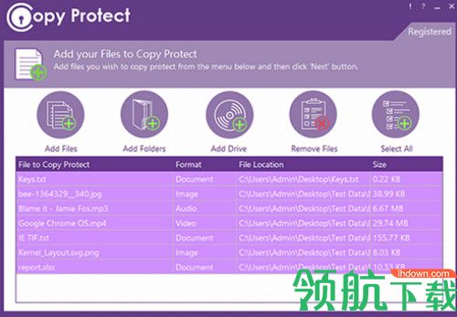 Copy Protect破解版