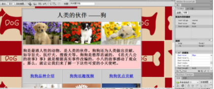AdobeDreamweavercc2020中文破解版