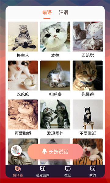 猫语翻译器破解版app