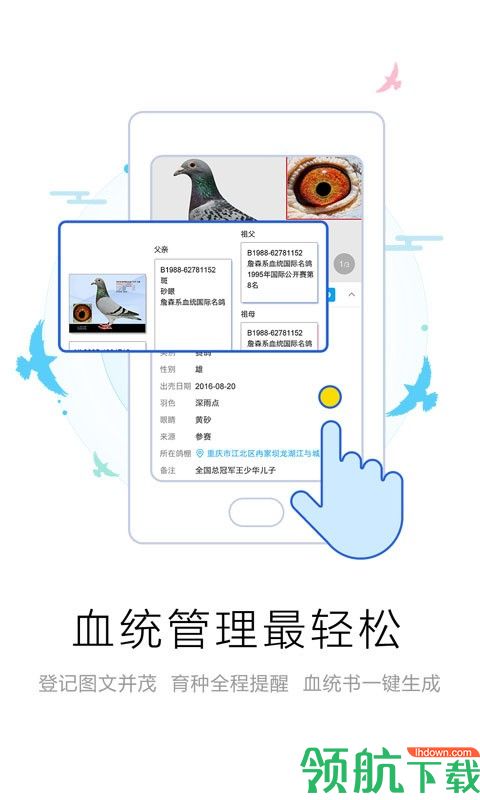 爱鸽者安卓版