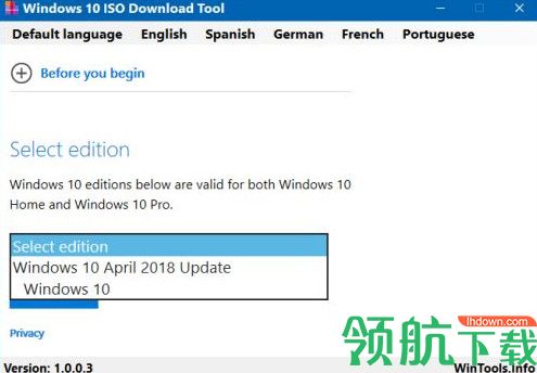 Windows 10 ISO Download Tool绿色版