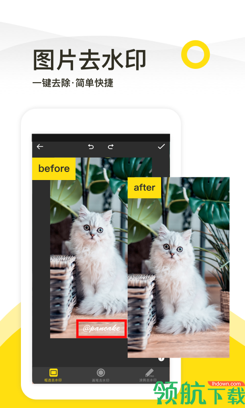 一键去水印APP版