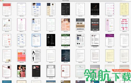 Resume Templates for Mac破解版