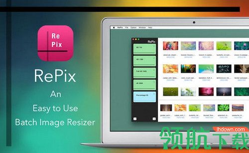 Repix Pro for Mac破解版