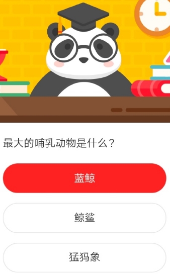 最大的哺乳动物是什么?2020森林驿站5月25日每日一答答案