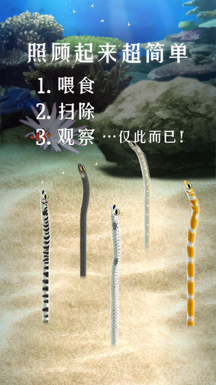 养育花园鳗的治愈游戏官方中文版