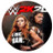 WWE 2K20汉化包