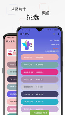 彩羽app安卓手机版