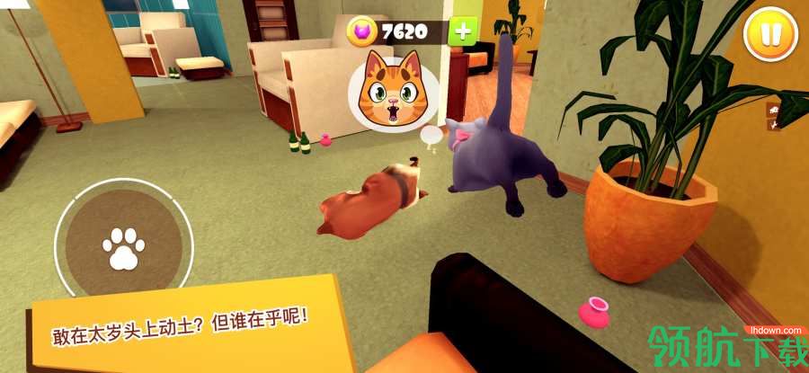 猫咪模拟器3D最新中文破解版