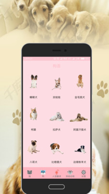 狗语猫语翻译器app免费