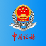 上海税务网上服务大厅app