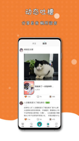 橘子猫轻小说app手机客户端