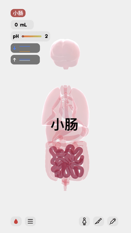 生命life APP官方最新版