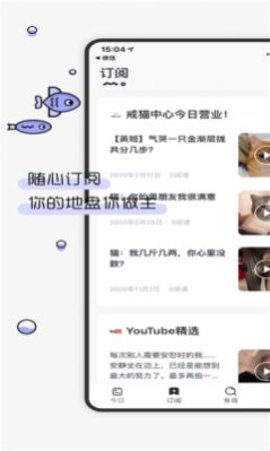 摸鱼kik搜狐app官方版