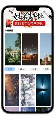枫叶壁纸app高清免费版