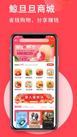 鲸旦旦APP官网版
