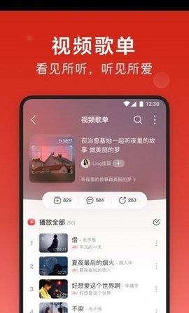 DSO音乐破解清爽版