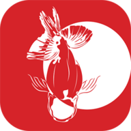 寻鱼直播破解版无广告