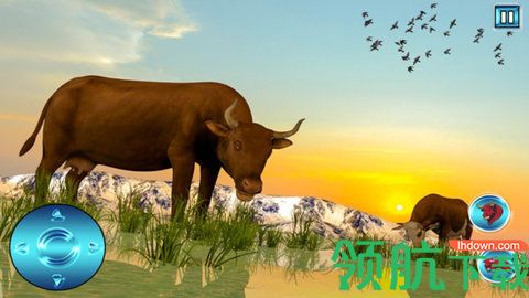 狂野公牛模拟器正式版下载