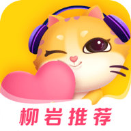 Yami语音连麦软件