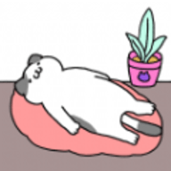 完美之猫正式版