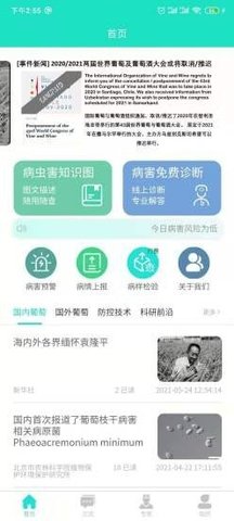 葡萄医生官方版下载
