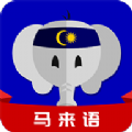 天天马来语APP免费版