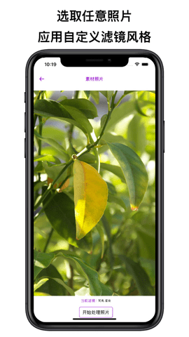 艺术家滤镜APP免费版