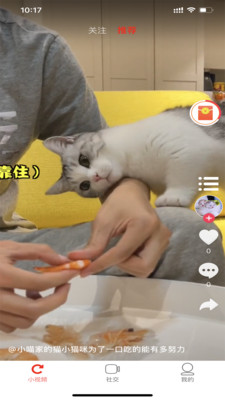 小萌猫APP2021最新版