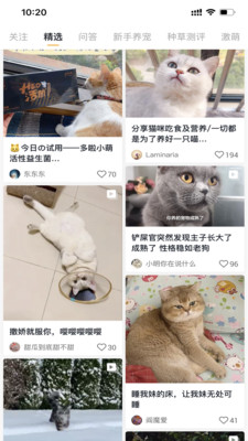 小萌猫APP2021最新版