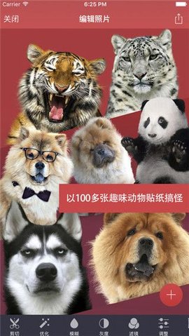 Pixomatic破解版