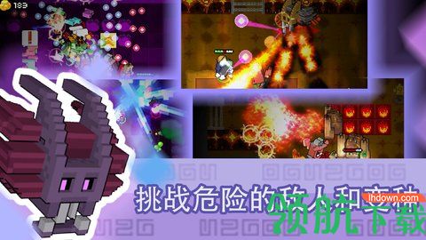 怪兽之星下载中文版