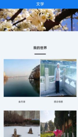 宣威之窗