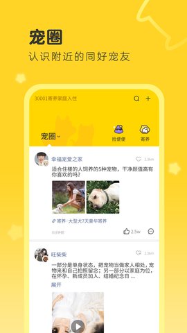 句苗岛app